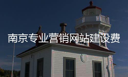 南京专业营销网站建设费用_(南京专业营销网站建设费用标准)