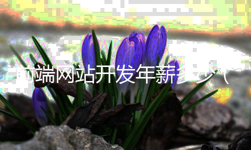 前端网站开发年薪多少(前端网页开发)