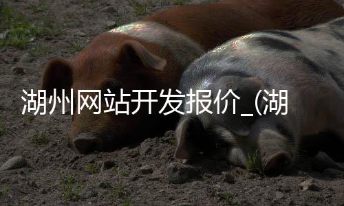 湖州网站开发报价_(湖州网络科技有限公司)